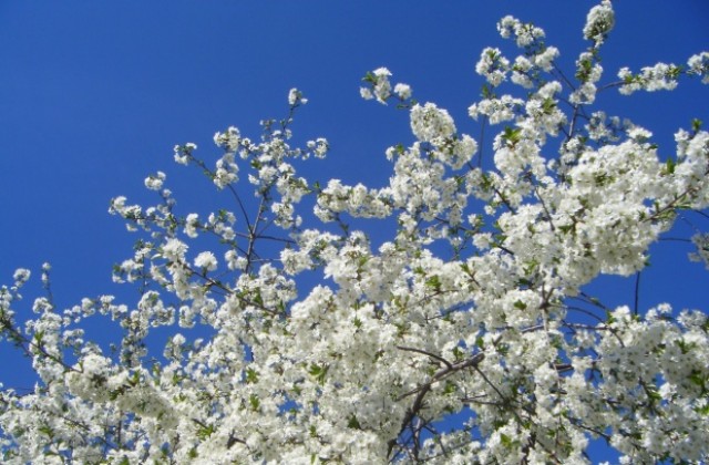 Слънцето се завръща