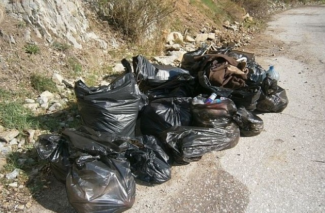 Събраха 8 тона отпадъци при почистването на Добрич