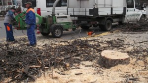 Машини обработват на място клоните от междублоковите пространства