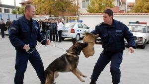 Малки полицаи наблюдаваха демонстрации със служебни кучета