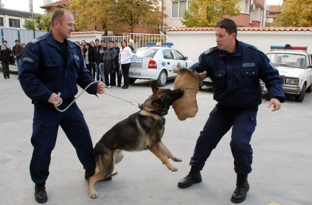 Малки полицаи наблюдаваха демонстрации със служебни кучета
