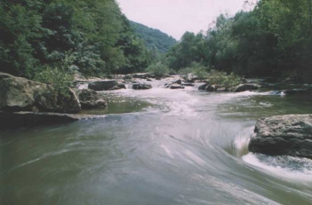 Доброволци чистят край река Янтра