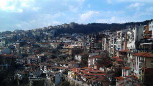 Пръскат срещу кърлежи и бълхи във В Търново