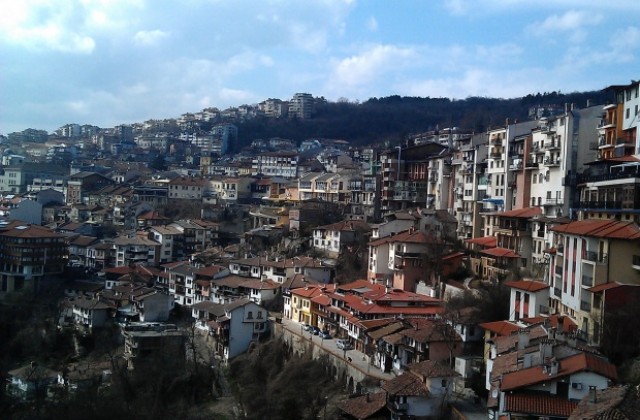 Пръскат срещу кърлежи и бълхи във В. Търново