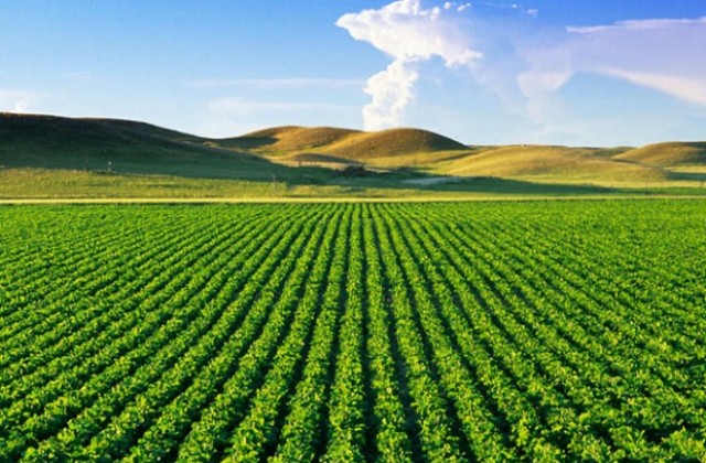 Цената на земеделската земя в Шуменско скочи с над 17%