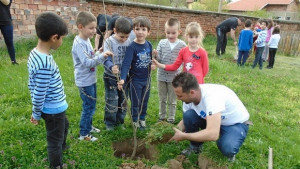 В Червен бряг деца и родители засадиха дръвчета за Деня