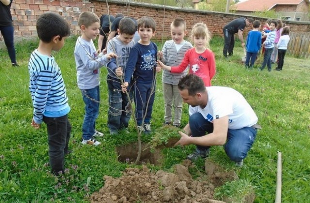 В Червен бряг деца и родители засадиха дръвчета за Деня на земята