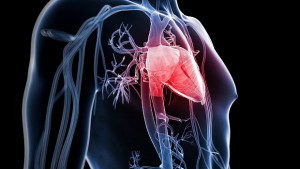 Финландски лекари присадиха изкуствено сърце