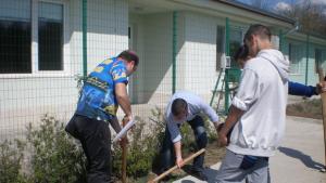 Засадиха дръвчета в центровете за настаняване от семеен тип