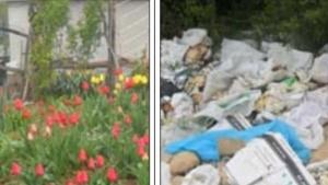 Сметище съсипва хубостта на село Рязковци