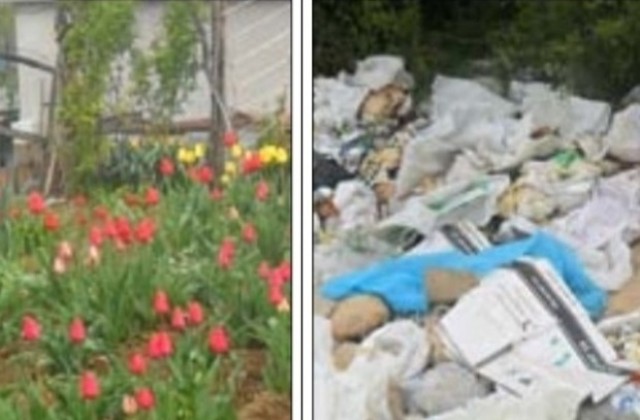 Сметище съсипва хубостта на село Рязковци