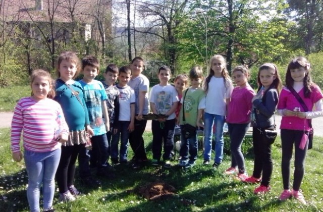 Млади еколози засадиха дръвчета в Г. Оряховица