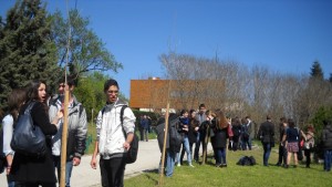 50 дръвчета за 50 години Първа езикова гимназия СНИМКИ