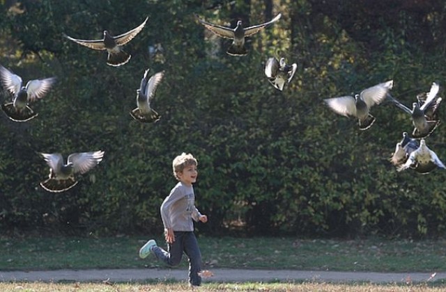 Вдигат наемите на заведения и колички за храна в Борисовата градина