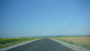 Земеделската земя в община Стара Загора с найвисока цена