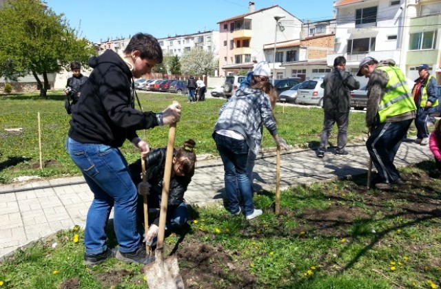 Ученици садиха дървета и храсти в балчишкия квартал Балик