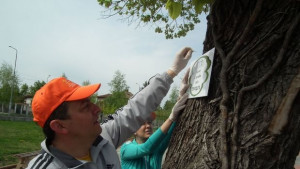 Иван Иванов и екипът му боядисаха пейките в парка в