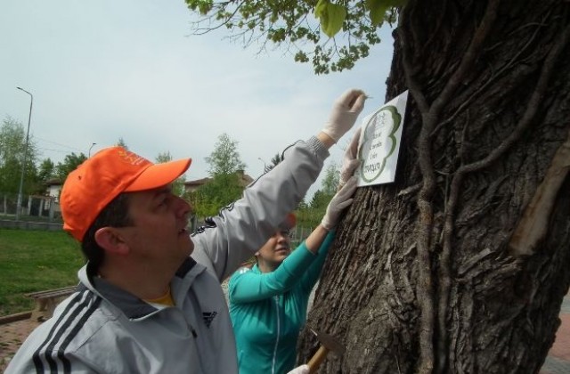 Иван Иванов и екипът му боядисаха пейките в парка в Деня на обществена ангажираност