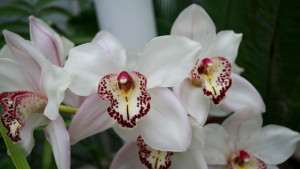 Времето на 26 април Слънчево