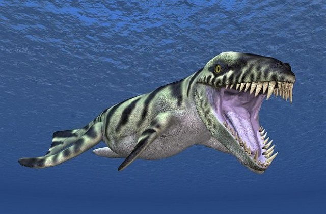 Фермер откри челюст от древно страховито морско създание