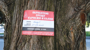 Продължава третирането срещу бълхи и кърлежи