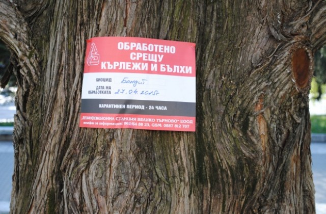 Продължава третирането срещу бълхи и кърлежи