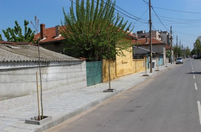 Започна засаждането на нови дървета в Любимец