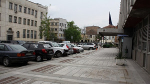 Забраниха асфалтирането около дървета