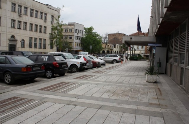 Забраниха асфалтирането около дървета