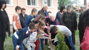 В Деня на солидарност между поколенията деца и възрастни засадиха