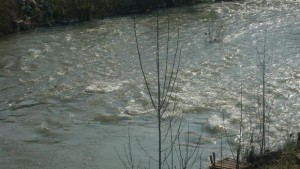 РИОСВ санкционира кметовете на Шумен Хитрино и Върбица заради непочистени