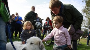 Кабинетът одобри нов модел за отпускане на детските добавки