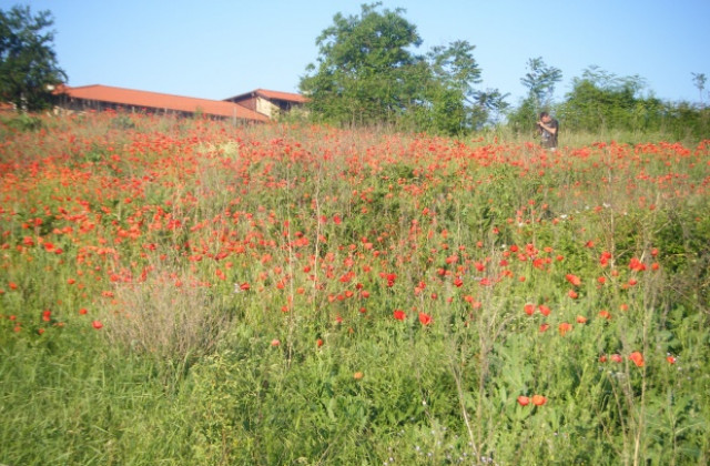 Очакват ни валежи и по-хладно време през май