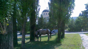 Кметът на Кюстендил и ОС приеха сериозни санкции към собствениците
