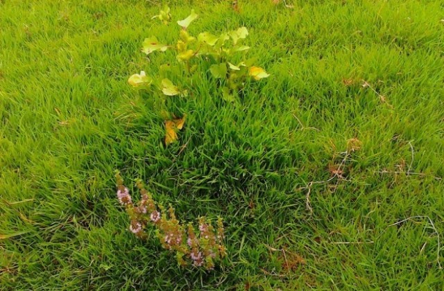 Температурите се покачват