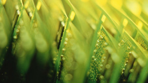 Създадоха електронен чип който се поглъща и предизвиква усещане за