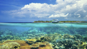 Учени наблюдават изригване на подводен вулкан край Орегон