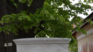 Реставрираха 163 годишна чешма