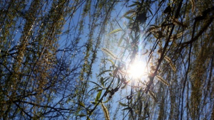 Повече слънце в последния почивен ден