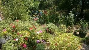 Предимно слънчево и почти тихо