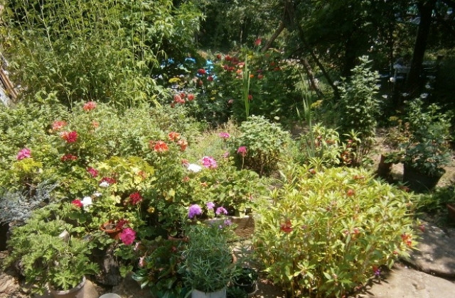 Предимно слънчево и почти тихо