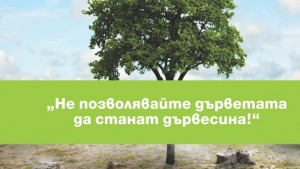 Стартира конкурс Не позволявайте дърветата да станат дървесина