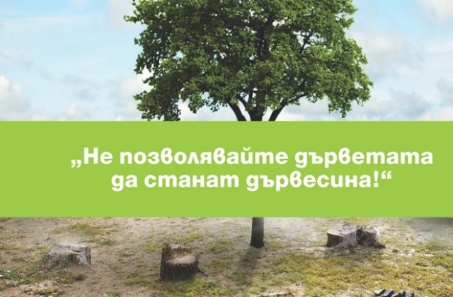 Стартира конкурс „Не позволявайте дърветата да станат дървесина!“