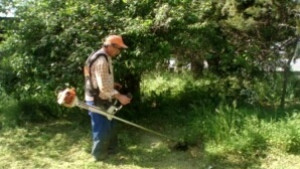 Два пъти ще коси тревата Паркстрой по основните булеварди