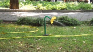 Отлагат с ден пръскането срещу кърлежи в Стара Загора