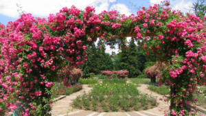 Награждават победителите в конкурса за любимо място в Русе