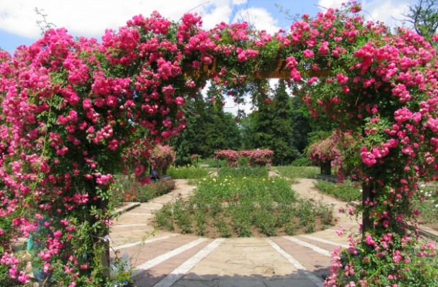 Награждават победителите в конкурса за любимо място в Русе