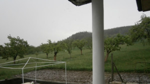 Снимка Отзвук от вчера градушка като орех порази Радловци