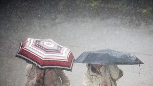 Как поленът влияе върху климата