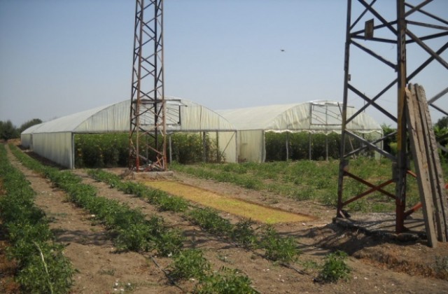 НССЗ с изнесени приемни за земеделските стопани в Кюстендилска област